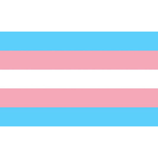 PRIDE - TRANSSEXUELLE FLAGGE 90 X 150