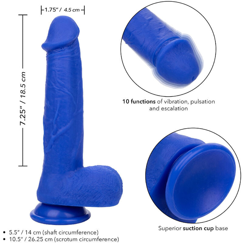 CALEXOTICS - ADMIRAL KAPITN REALISTISCHER DILDO-VIBRATOR BLAU