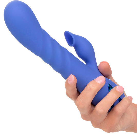 CALEXOTICS - LA LOVE VIBRATOR & SUCKER BLAU VON CALIFORNIA DREAMING