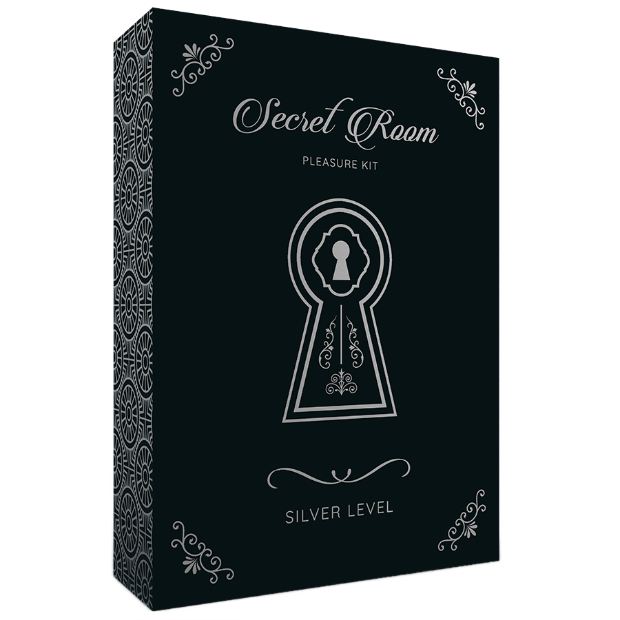 SECRET ROOM - PLEASURE KIT SILBER STUFE 1